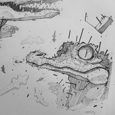 a pencil drawing of an alligator's head and neck with other drawings surrounding it