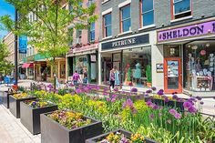 there are many flower boxes in front of the shops on this street that is lined with purple and yellow flowers