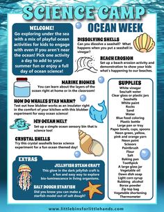 an ocean camp poster with information on how to use it for kids's activities