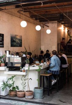 people sitting at tables in a restaurant with potted plants and hanging lights above them