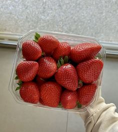 a person holding a plastic container full of strawberries