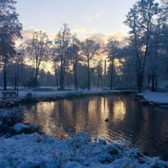 a small pond surrounded by snow covered trees