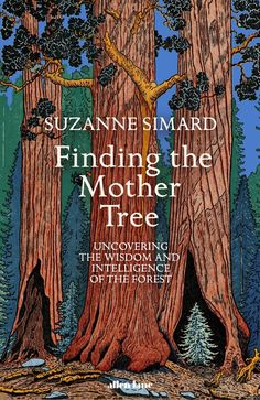 a book cover with trees in the background and text reading, finding the mother tree