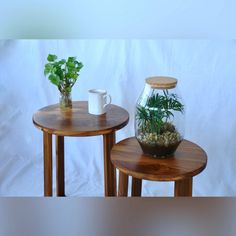 two small tables with plants in them