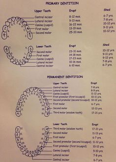 dental assistant hygienist hygiene oralgila #Wellness #Maintaining #Tips #Essential #Bright #Optimal #FitnessTips #SelfCare #Health #for #HealthTips #a #Smile #HealthyLiving #Dental Dental Abbreviations, Dental Assistant Study Guide, Dental Hygiene Graduation, Dental Assistant School, Registered Dental Hygienist, Dental World