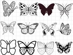 the silhouettes of different butterflies are shown in black and white, including one butterfly