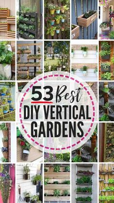 the best diy vertical garden ideas