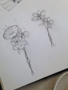 two flowers are drawn on a piece of paper