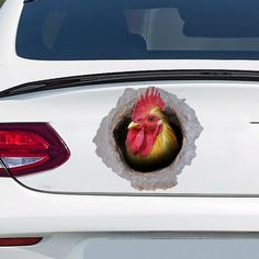 a chicken sticking its head out of a hole in the side of a white car