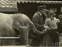 an old black and white photo of people petting an elephant