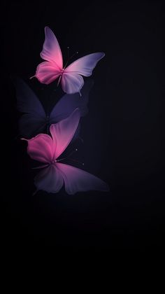 two pink butterflies flying in the dark