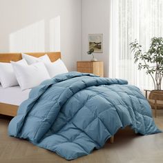 a bed with white pillows and blue comforter in a bright room next to a potted plant