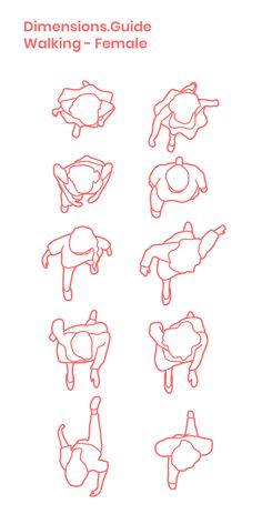 the instructions for how to draw an animal's body and head in different poses