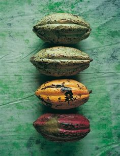 four different types of fruit sitting in a row on top of each other, all with their own name