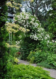 a garden with lots of plants and flowers on it's sides, next to a path