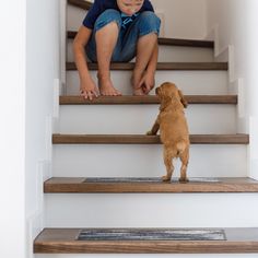 a little boy sitting on some stairs with a dog standing next to him and looking up