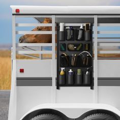 a horse is looking out the side of a white trailer with its stall door open