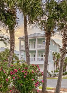 palm trees and pink flowers in front of a blue house with white balconies