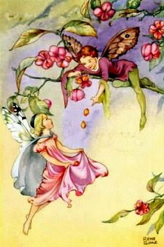 . Rene Cloke, Fairy Paintings, Fairy Drawings, Fairy Images, Fairy Illustration, Fairy Pictures, Cicely Mary Barker, Fairy Artwork, Vintage Fairies