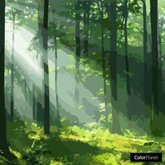 a painting of sunlight shining through the trees in a green forest with sunbeams