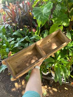 a person is holding a wooden box in front of some green plants and flowers on the ground