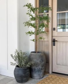 two large vases sitting next to each other in front of a door with plants growing out of them