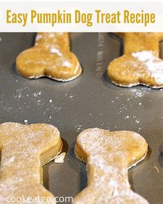 homemade dog treat recipe for dogs made with easy pumpkin dog treats and then baked in the oven