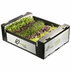 an open box filled with lettuce and other plants