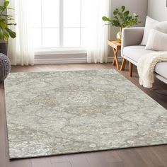 a living room with a large rug on the floor and a window in the background