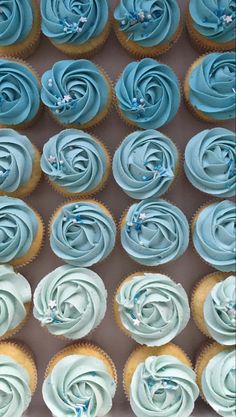 cupcakes with blue frosting in a box