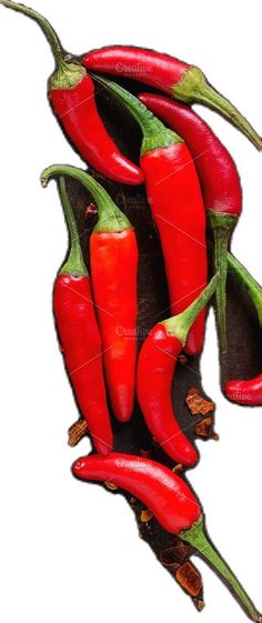 red chili peppers on white background