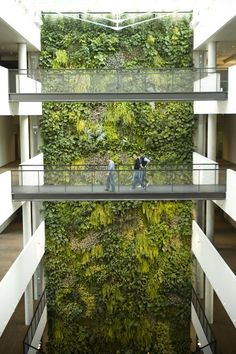 two people are walking in front of a green wall on the side of a building