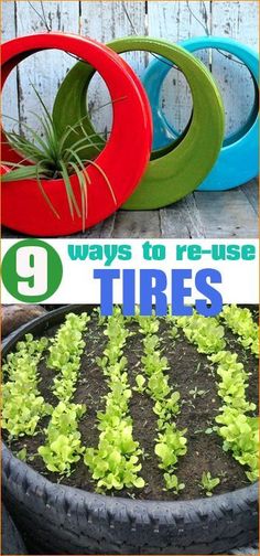 there are several different types of tires in the planter with plants growing out of them