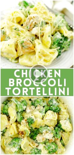 chicken broccoli tortelli with cheese on top