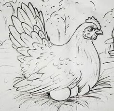 a black and white drawing of a chicken in the grass next to a fire hydrant