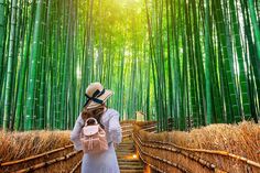 a woman standing in front of a bamboo forest with lots of tall green trees and grass