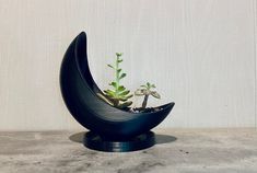 a small plant is growing out of a crescent shaped vase