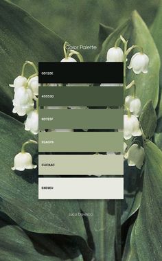 Green Theme Color Palettes, Color Mood Palette, Calming Green Color Palette, Lily Of The Valley Color Palette, All Green Color Palette, Green Emerald Color Palette, Sea Foam Green Color Schemes, Pantone Colour Palettes Green, Monochromatic Green Color Palette