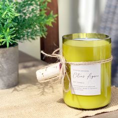 a yellow candle sitting on top of a table next to a potted plant