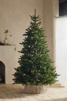 a small christmas tree in a wicker basket next to a fire place and window