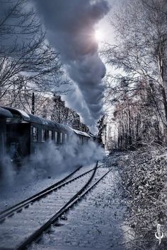 a train traveling down tracks next to a forest filled with trees and snow covered ground