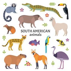 an animal poster with different types of animals and their names in english or spanish royalty illustration