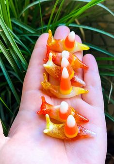 three small orange and yellow candies sitting on top of a palm tree in someone's hand