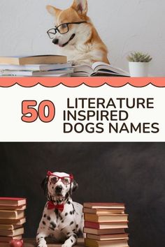 a dog wearing glasses sitting in front of books with the title 50 literature inspired dogs names