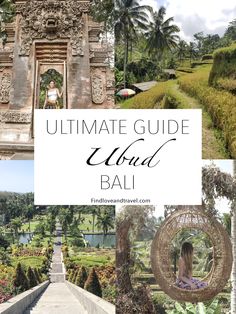 the ultimate guide to ubud bali