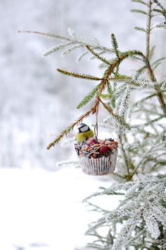 a small bird perched on top of a cupcake hanging from a tree in the snow