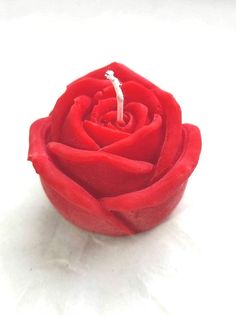 a single red rose sitting on top of a white table