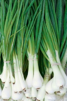 green onions and garlic are on display for sale