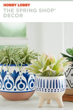 three ceramic planters with succulents in them and the words hobby lobby