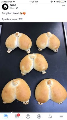 bread shaped like animals sitting on top of a pan